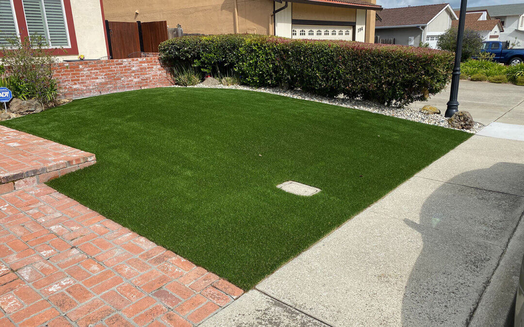 Artificial Grass Installation in Modesto, CA: What Makes it So Tough Against the Weather?