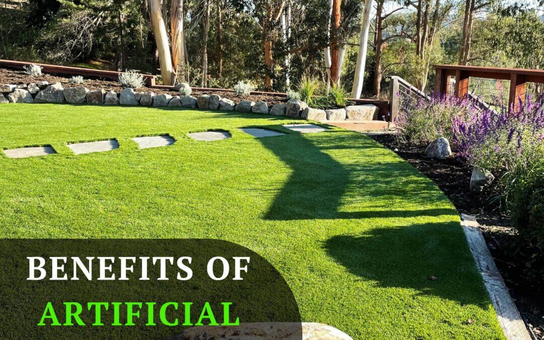 Artificial Grass Installation in Modesto, CA for Gardens: Benefits and Landscaping Ideas