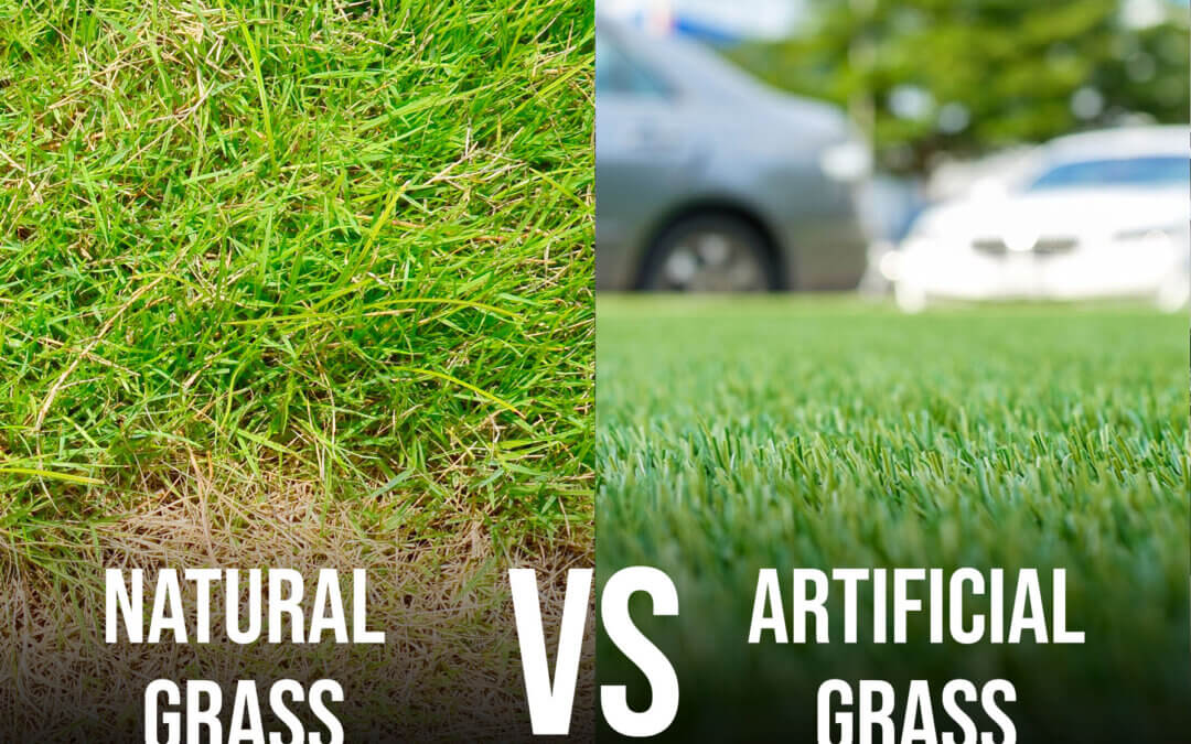 Natural Grass vs. Artificial Grass-modesto