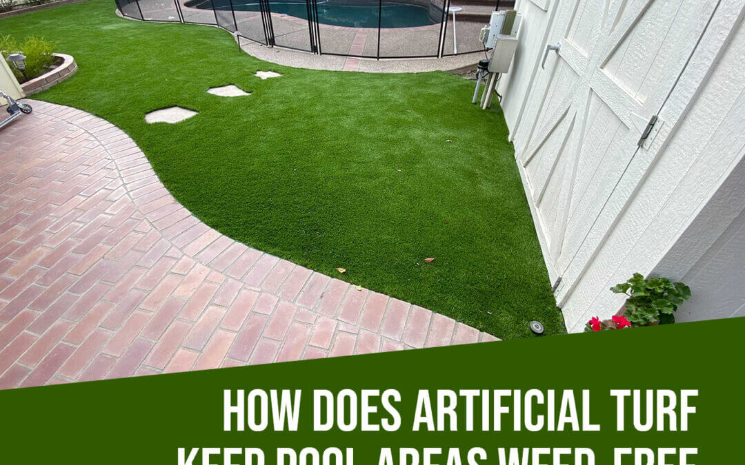 Do Weeds Grow on Artificial Turf in Modesto Around Pools?