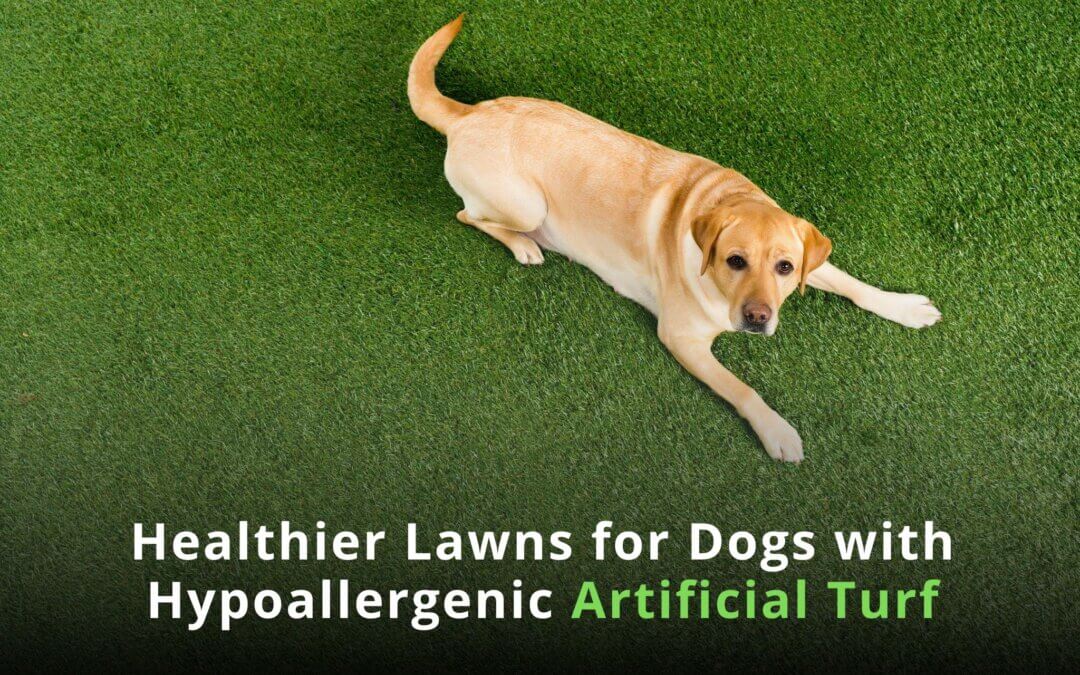 Healthier Lawns for Dogs with Hypoallergenic Artificial Turf - modesto
